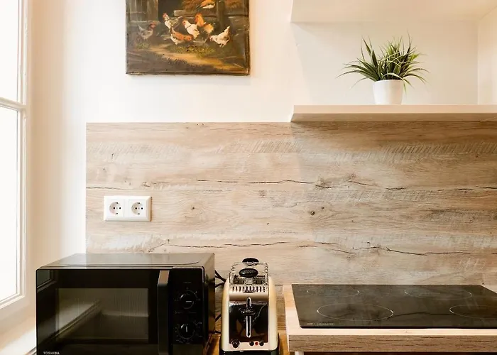 Apartment Historic Center Boutique - Free Parking - Schlossberg View - By Casa Momo Graz