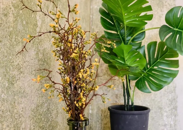 Historic Center Boutique - Free Parking - Schlossberg View - Casa Momo 格拉茨