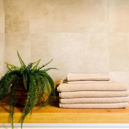 Luxusapartment im Zentrum mit Schlossbergblick und Parkplatz *