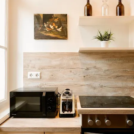 Daire Historic City Center Boutique Apartments - Free Parking - Schlossberg View - By Casa Momo Graz